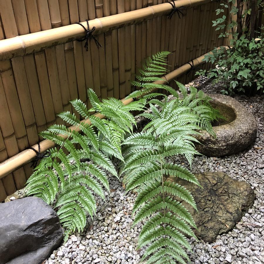 Naokonoza Omiya Gojo Villa Kyoto Luaran gambar