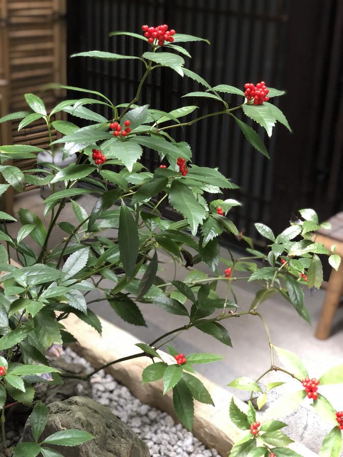 Naokonoza Omiya Gojo Villa Kyoto Luaran gambar